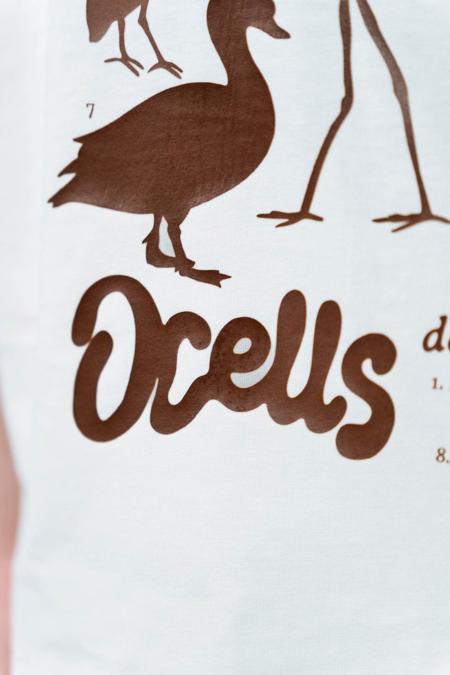 T-shirt - Ocells